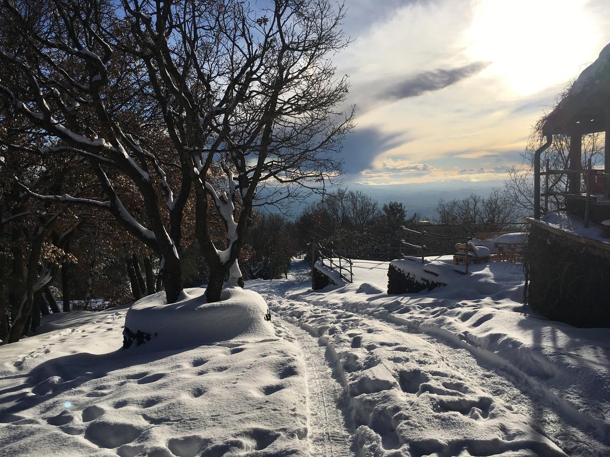 Alloggio per agriturismo Il Frutteto Di Efesto